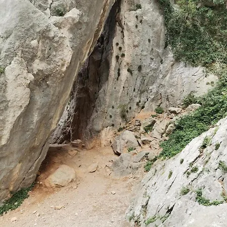 Apartman Robi Maslenica