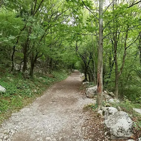 Robi Apartman
