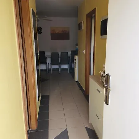 Apartment Robi *