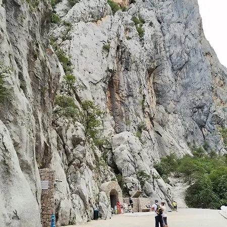 Robi * Maslenica