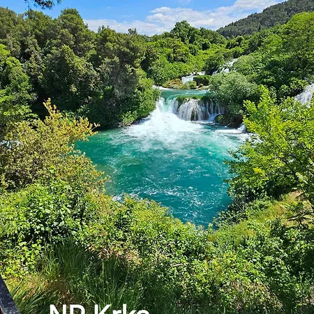 Robi * Maslenica